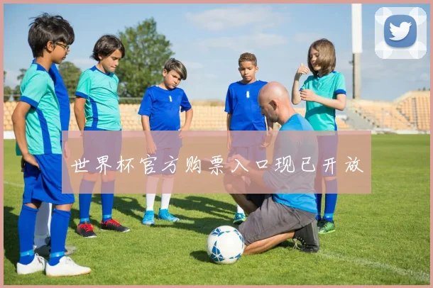 世界杯官方购票入口现已开放