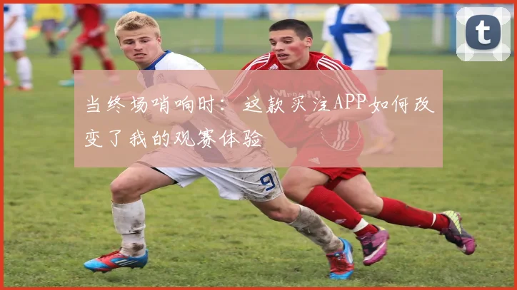 当终场哨响时:这款买注APP如何改变了我的观赛体验