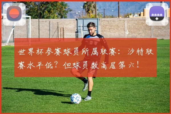 世界杯参赛球员所属联赛:沙特联赛水平低?但球员数高居第六!