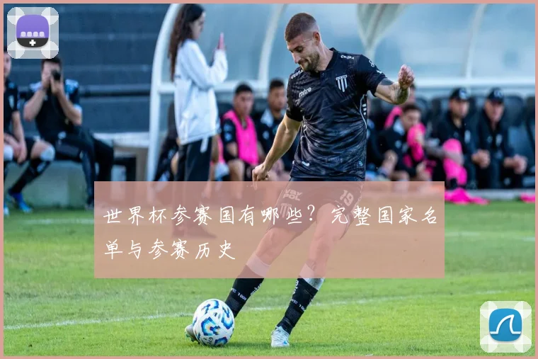 世界杯参赛国有哪些?完整国家名单与参赛历史