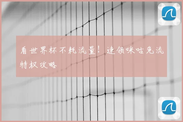 看世界杯不耗流量！速领咪咕免流特权攻略