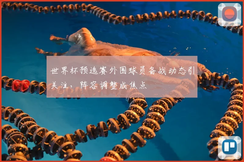 世界杯预选赛外围球员备战动态引关注，阵容调整成焦点