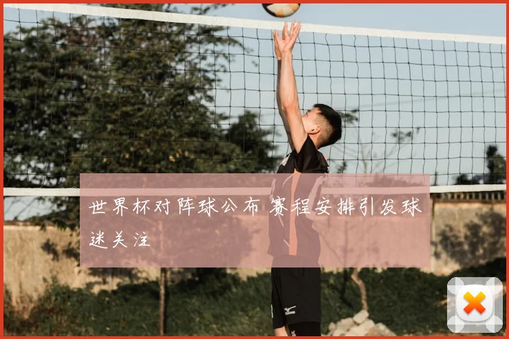 世界杯对阵球公布 赛程安排引发球迷关注