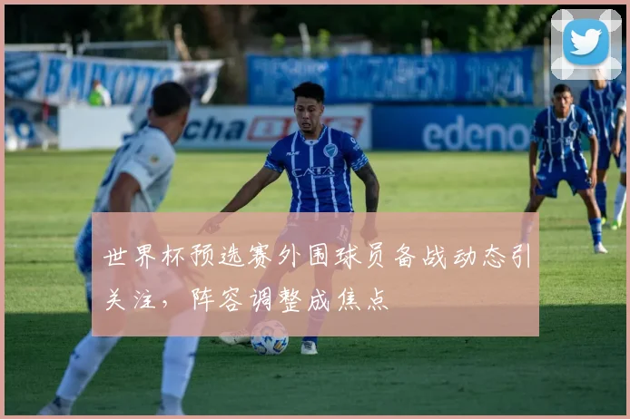 世界杯预选赛外围球员备战动态引关注，阵容调整成焦点